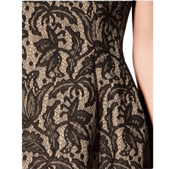 ZARA Kate Middleton Black Lace Tulip Fit & Flare Dress Size S - Picture 11 of 14